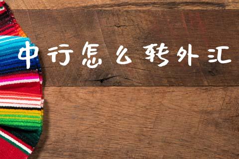 中行怎么转外汇_https://www.fansifence.com_恒指交易时间_第1张