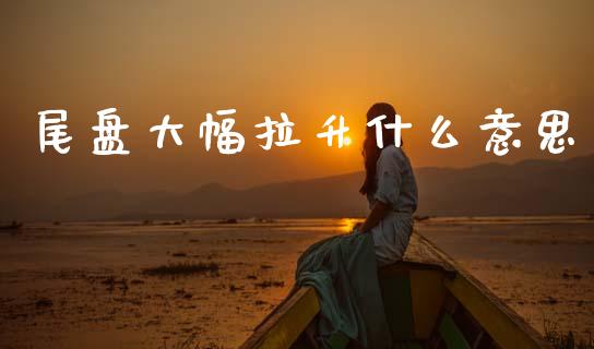 尾盘大幅拉升什么意思_https://www.fansifence.com_中国国际期货_第1张