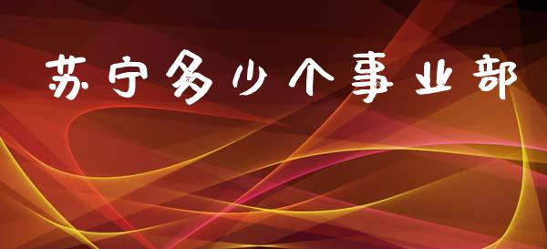 苏宁多少个事业部_https://www.fansifence.com_国际期货行情_第1张