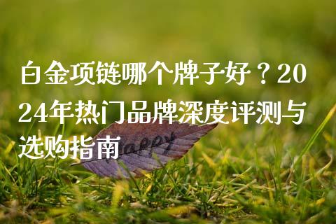 白金项链哪个牌子好?2024年热门品牌深度评测与选购指南_国际期货_第1张_国际期货_中国国际期货_恒指交易时间_国际期货行情 白金项链哪个牌子好?2024年热门品牌深度评测与选购指南_https://www.fansifence.com_国际期货_第1张
