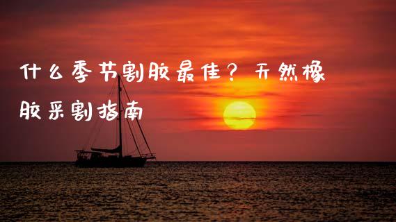 什么季节割胶最佳？天然橡胶采割指南_https://www.fansifence.com_中国国际期货_第1张
