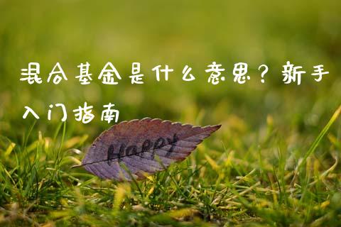 混合基金是什么意思？新手入门指南_https://www.fansifence.com_中国国际期货_第1张