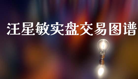 汪星敏实盘交易图谱_https://www.fansifence.com_中国国际期货_第1张