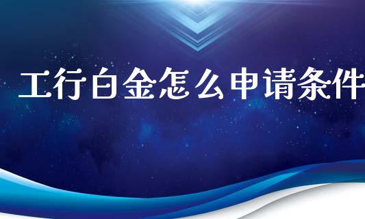工行白金怎么申请条件_https://www.fansifence.com_中国国际期货_第1张