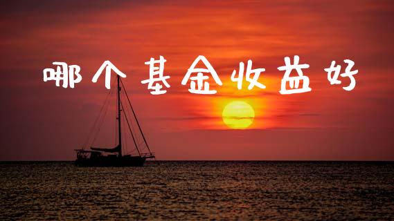 哪个基金收益好_https://www.fansifence.com_中国国际期货_第1张