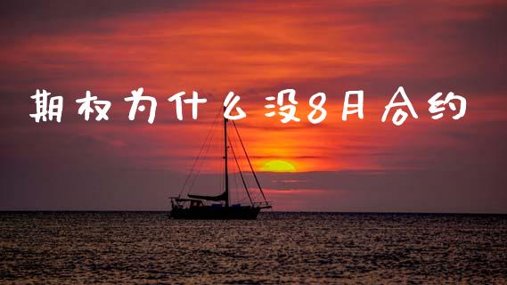 期权为什么没8月合约_https://www.fansifence.com_恒指交易时间_第1张
