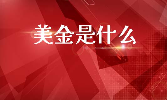 美金是什么_https://www.fansifence.com_国际期货行情_第1张