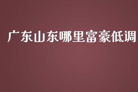 广东山东哪里富豪低调_https://www.fansifence.com_国际期货_第1张