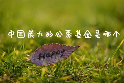 中国最大的公募基金是哪个_https://www.fansifence.com_中国国际期货_第1张