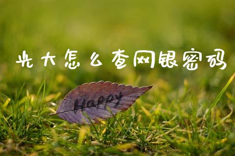 光大怎么查网银密码_https://www.fansifence.com_国际期货行情_第1张