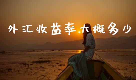 外汇收益率大概多少_https://www.fansifence.com_国际期货行情_第1张