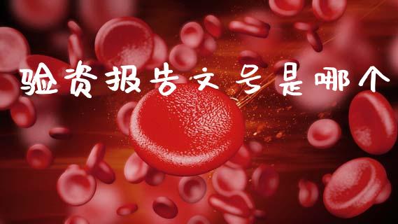 验资报告文号是哪个_https://www.fansifence.com_恒指交易时间_第1张