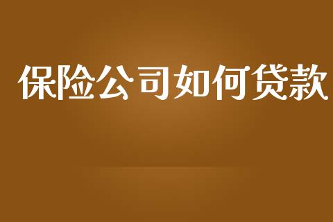 保险公司如何贷款_https://www.fansifence.com_中国国际期货_第1张