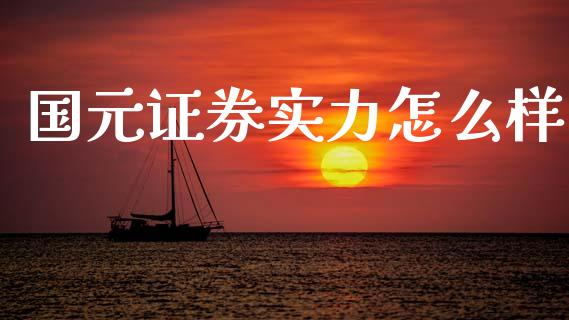 国元证券实力怎么样_https://www.fansifence.com_国际期货_第1张