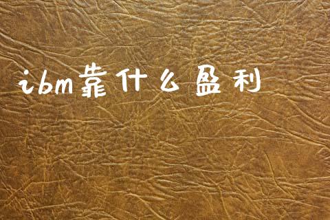 ibm靠什么盈利_https://www.fansifence.com_国际期货_第1张