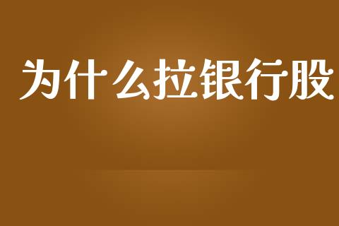 为什么拉银行股_https://www.fansifence.com_国际期货行情_第1张