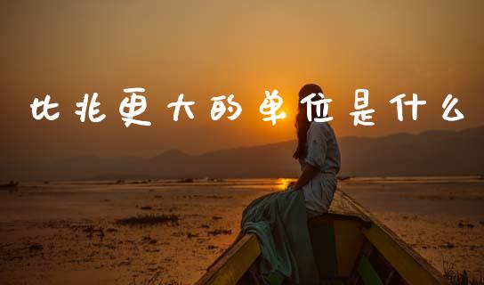 比兆更大的单位是什么_https://www.fansifence.com_恒指交易时间_第1张