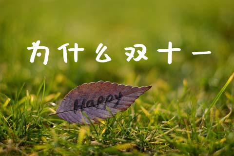 为什么双十一_https://www.fansifence.com_中国国际期货_第1张