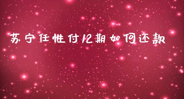 苏宁任性付12期如何还款_https://www.fansifence.com_中国国际期货_第1张