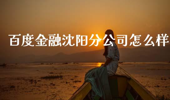 百度金融沈阳分公司怎么样_https://www.fansifence.com_恒指交易时间_第1张
