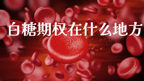白糖期权在什么地方_中国国际期货_第1张_国际期货_中国国际期货_恒指交易时间_国际期货行情 白糖期权在什么地方_https://www.fansifence.com_中国国际期货_第1张