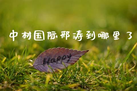 中材国际邢涛到哪里了_https://www.fansifence.com_国际期货行情_第1张