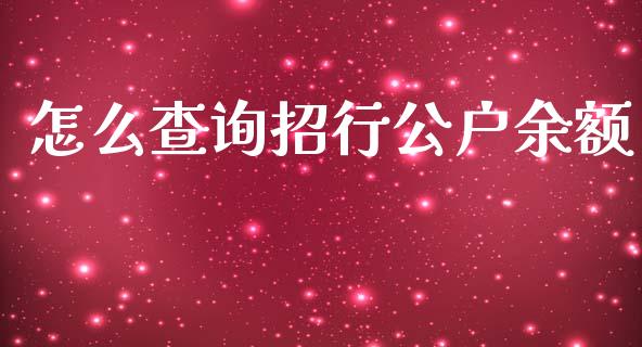怎么查询招行公户余额_https://www.fansifence.com_恒指交易时间_第1张
