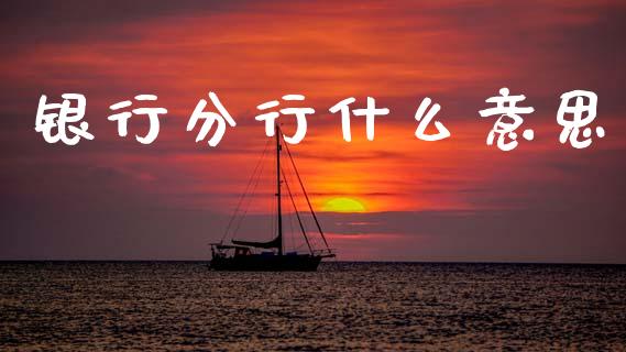 银行分行什么意思_https://www.fansifence.com_中国国际期货_第1张