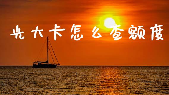光大卡怎么查额度_https://www.fansifence.com_国际期货_第1张