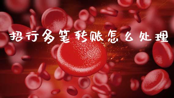 招行多笔转账怎么处理_https://www.fansifence.com_国际期货_第1张