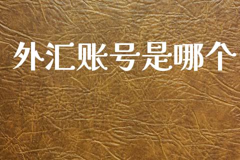 外汇账号是哪个_https://www.fansifence.com_国际期货行情_第1张