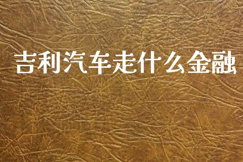 吉利汽车走什么金融_https://www.fansifence.com_恒指交易时间_第1张
