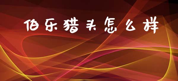 伯乐猎头怎么样_https://www.fansifence.com_国际期货行情_第1张