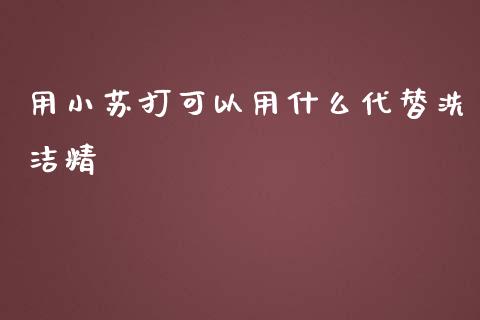 用小苏打可以用什么代替洗洁精_https://www.fansifence.com_国际期货_第1张