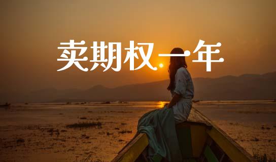 卖期权一年_https://www.fansifence.com_恒指交易时间_第1张