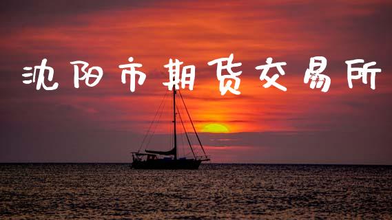 沈阳市期货交易所_https://www.fansifence.com_中国国际期货_第1张