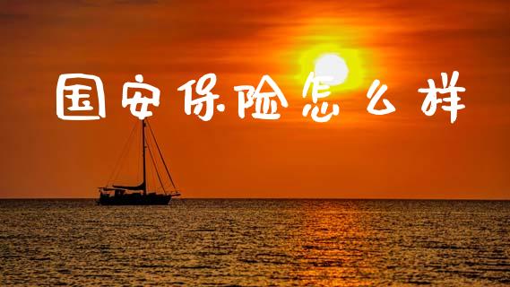 国安保险怎么样_https://www.fansifence.com_恒指交易时间_第1张