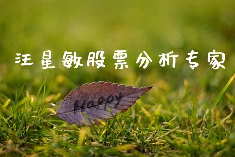 汪星敏股票分析专家_https://www.fansifence.com_恒指交易时间_第1张