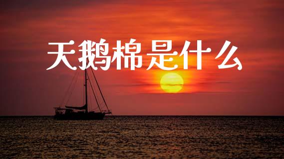 天鹅棉是什么_https://www.fansifence.com_中国国际期货_第1张
