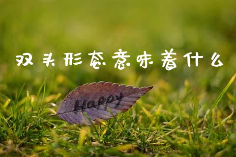 双头形态意味着什么_https://www.fansifence.com_国际期货行情_第1张