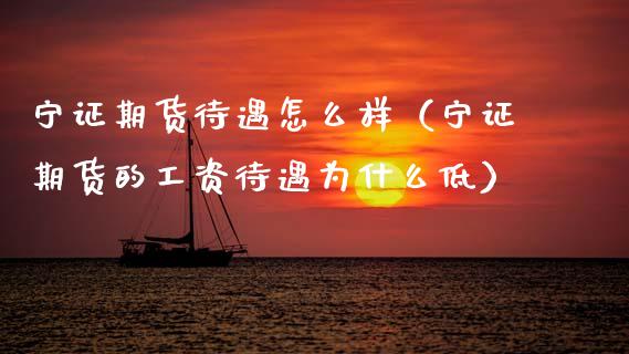 宁证期货待遇怎么样（宁证期货的工资待遇为什么低）_https://www.fansifence.com_国际期货行情_第1张