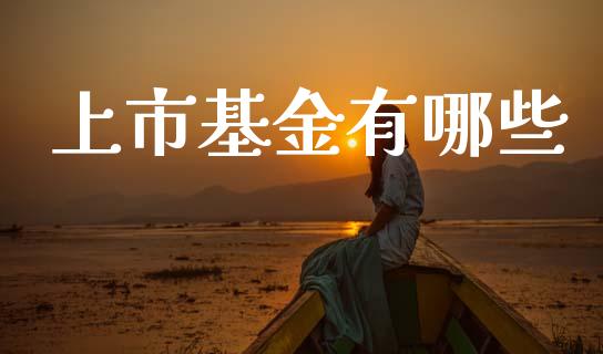 上市基金有哪些_https://www.fansifence.com_中国国际期货_第1张