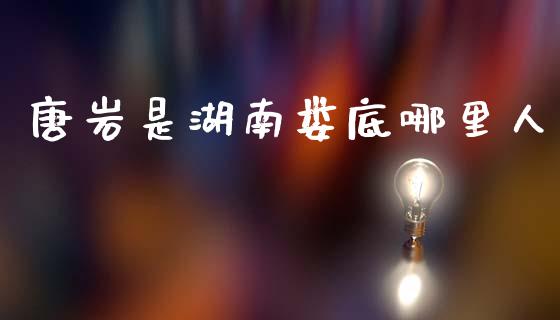 唐岩是湖南娄底哪里人_https://www.fansifence.com_国际期货行情_第1张