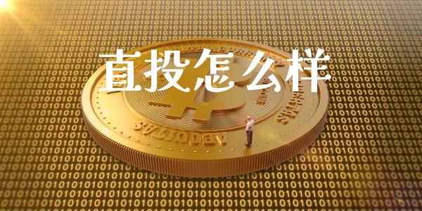 直投怎么样_https://www.fansifence.com_中国国际期货_第1张