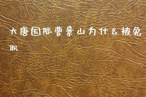 大唐国际曹景山为什么被免职_https://www.fansifence.com_恒指交易时间_第1张