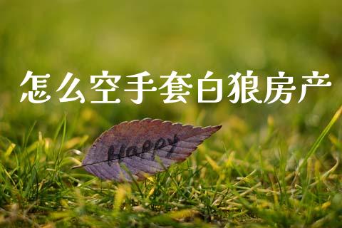 怎么空手套白狼房产_https://www.fansifence.com_国际期货行情_第1张