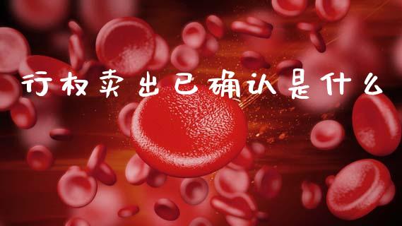 行权卖出已确认是什么_https://www.fansifence.com_国际期货_第1张