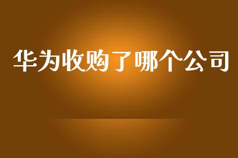 华为收购了哪个公司_https://www.fansifence.com_恒指交易时间_第1张