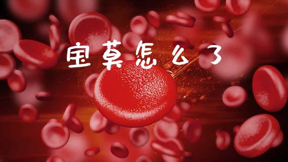 宝莫怎么了_https://www.fansifence.com_国际期货行情_第1张