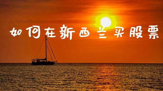 如何在新西兰买股票_https://www.fansifence.com_恒指交易时间_第1张